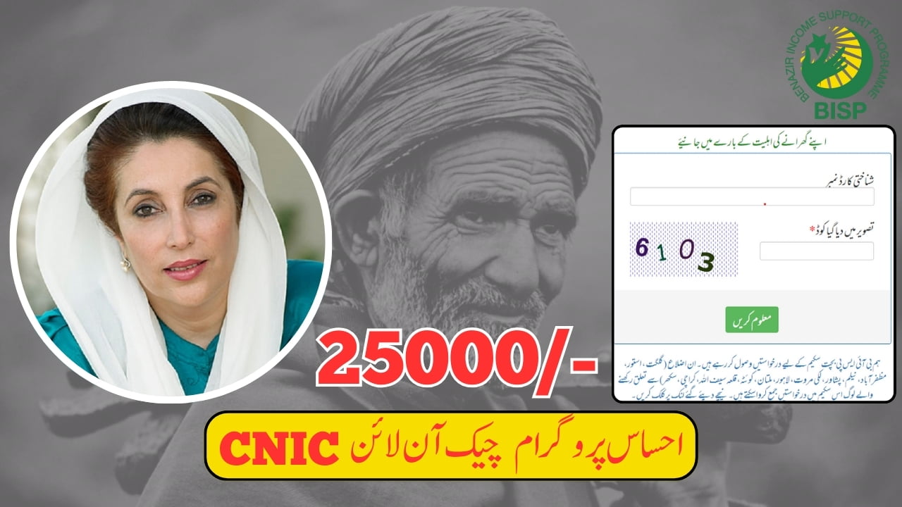 Ehsaas Program CNIC Check Online 25000