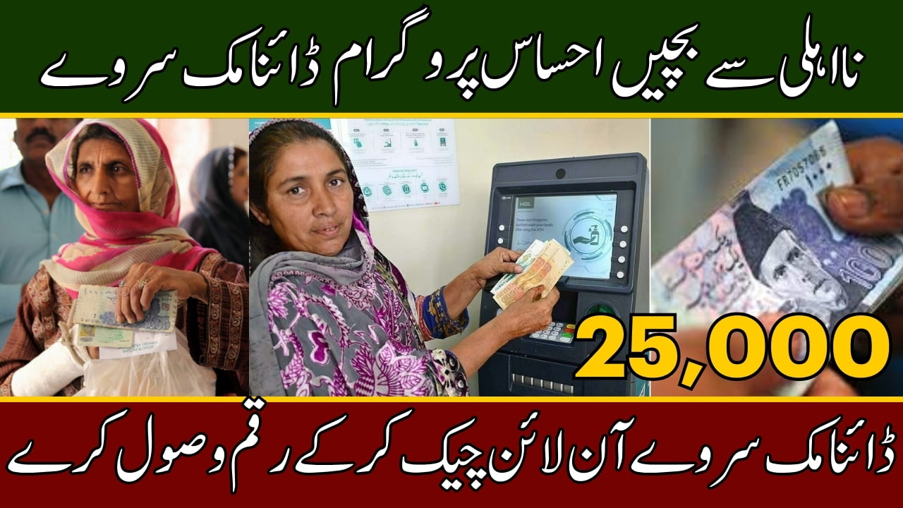 Avoid Disqualification Ehsaas Program Requires Updated Dynamic Surveys