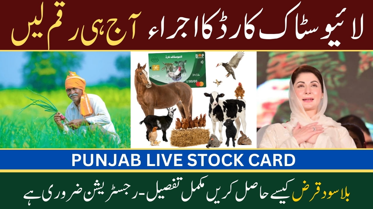 Good News: How to Apply for Maryam Nawaz Punjab Livestock Card Scheme Offering Interest-Free Loans to Farmers 