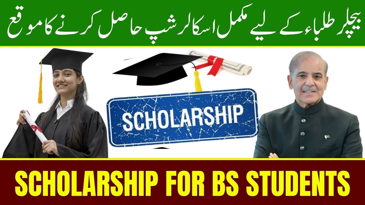 Good News Securing a Full Scholarship for Bachelor's Students