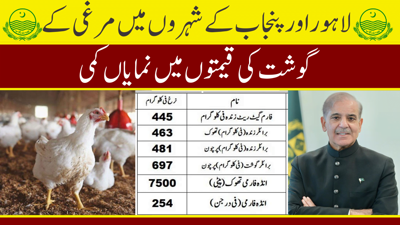 Major Decrease in Chicken Meat Prices in Lahore and Punjab Cities