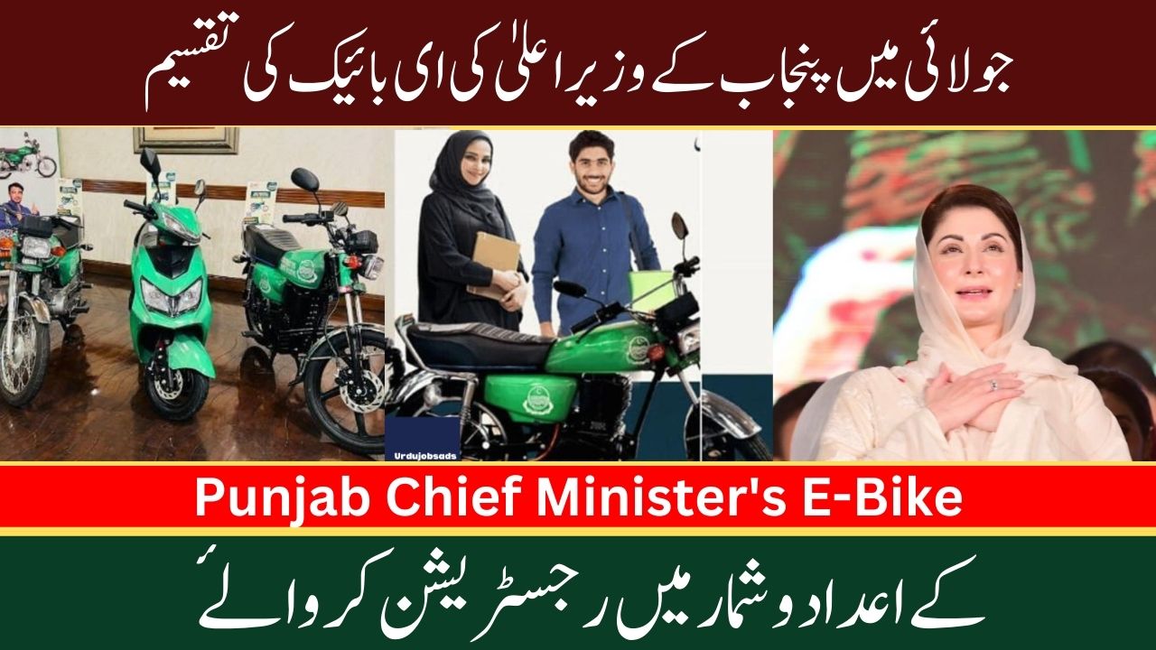 Statistics on Punjab Chief Minister's E-Bike Distribution in July