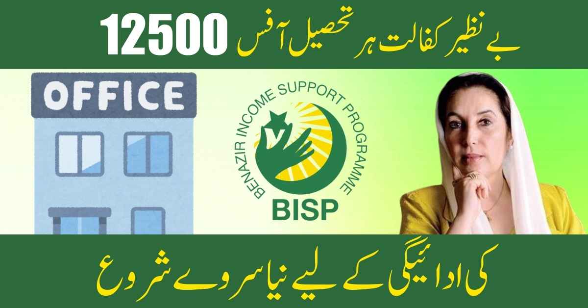 Benazir Kafalat New Survey At Every Tehsil Office For 12500 Payment Starts (Complete Details