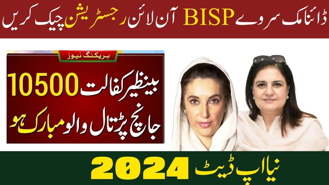 Dynamic Survey BISP