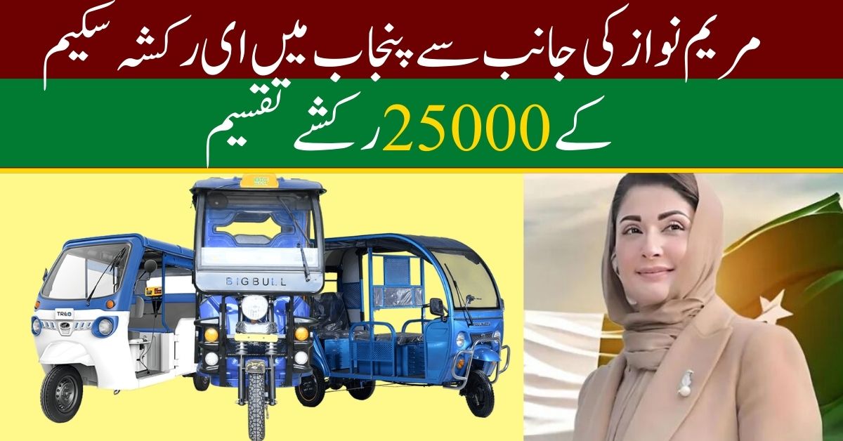 E Rickshaws Scheme 25000 Rickshaws Distribute In Punjab By Maryam Nawaz