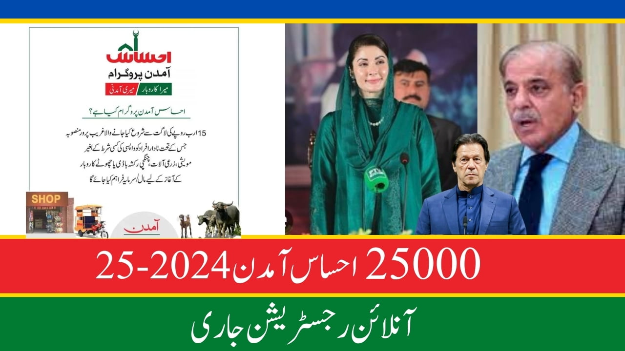 Ehsaas Amdan Program CNIC Check Online Registration 2024-25 25000