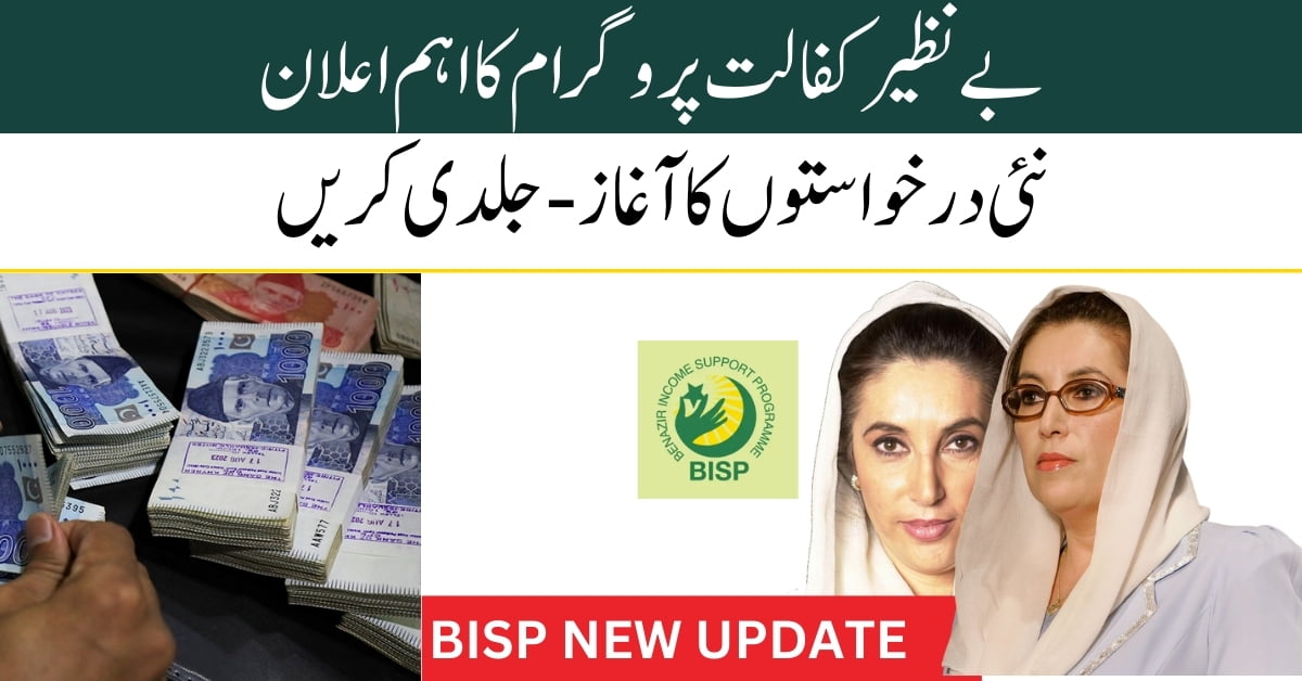 Exciting Update CNIC 8171 Ehsas Program 2024 Benazir Income Support Program Status