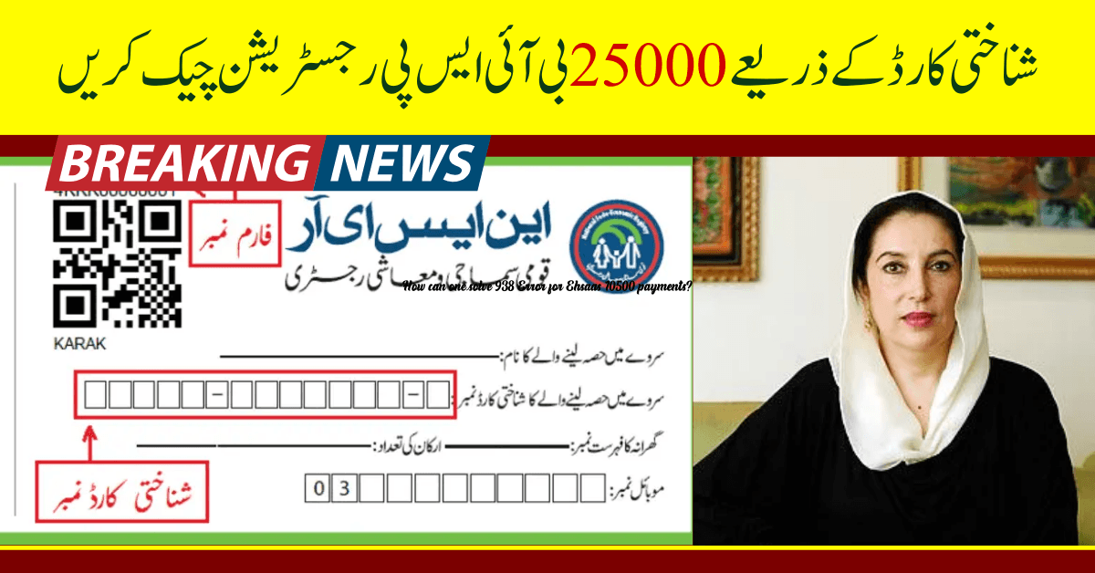 Check 25000 BISP Registrations using CNIC Card