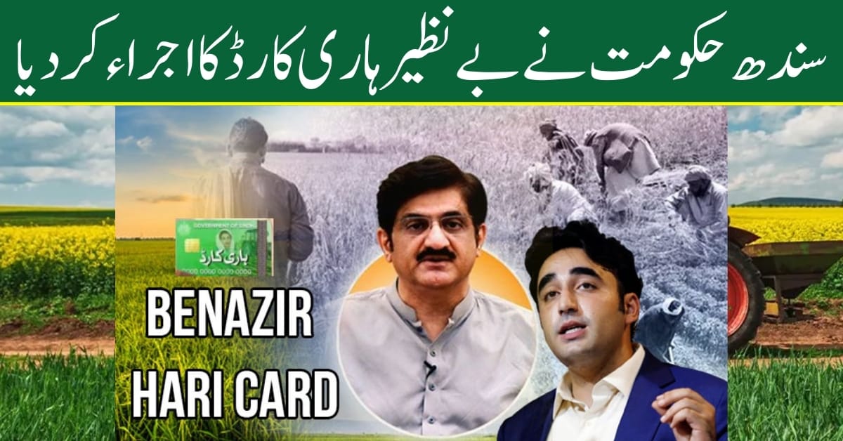 Sindh Government Launches Benazir Haari Card